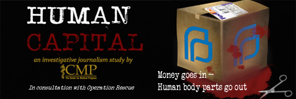 Human Capital-smbanner