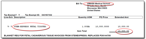 UMassPO-screen shot