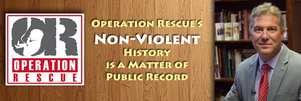 ORHistory of Nonviolence-small