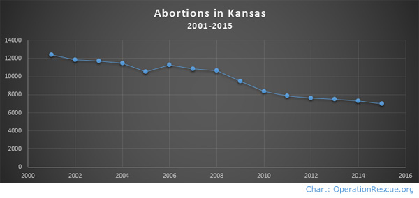 Abortions in KS 2001-2015