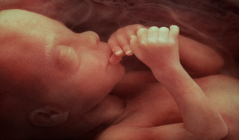 Three Big Shifts Affecting Tiny Babies This Week: Laws  Blocked and Unblocked in LA, WV, and GA 