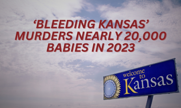 ‘Bleeding Kansas’ Murders Nearly 20,000 Babies in 2023