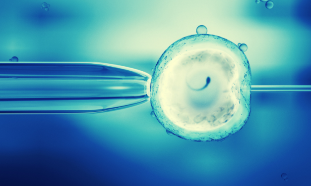 Procreation Belongs in the Bedroom, Not a Petri Dish