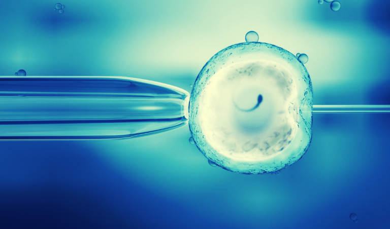 Procreation Belongs in the Bedroom, Not a Petri Dish